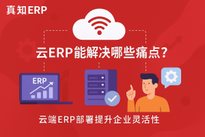 刘玉成：全球ERP行业的现状、主要痛点，以及在AI时...