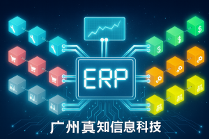 刘玉成：ERP与区块链结合的当下与未来