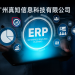 AI 时代 ERP 行业的真正变革
