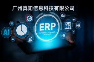AI 时代 ERP 行业的真正变革