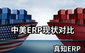 中美ERP行业深度对比与AI时代的结构性变革